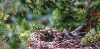 Jak sprawdzić gniazdo haka miernikiem?