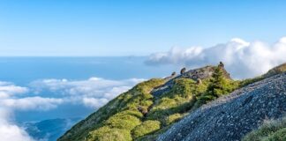 Jaka jest różnica między tirem a ciężarówka? Jaka jest różnica między tirem a ciężarówka?